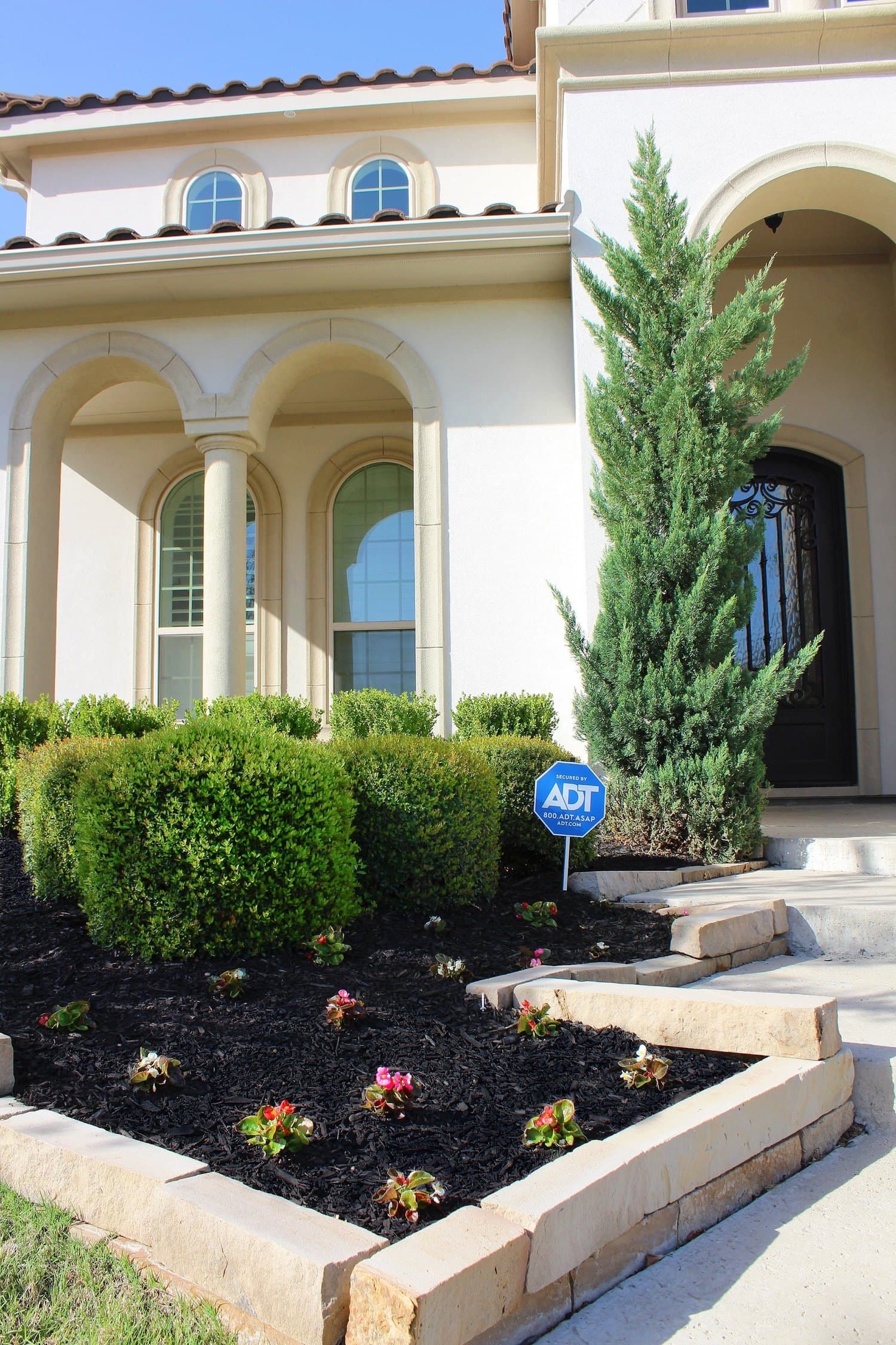 Shaped hedges and cypress line