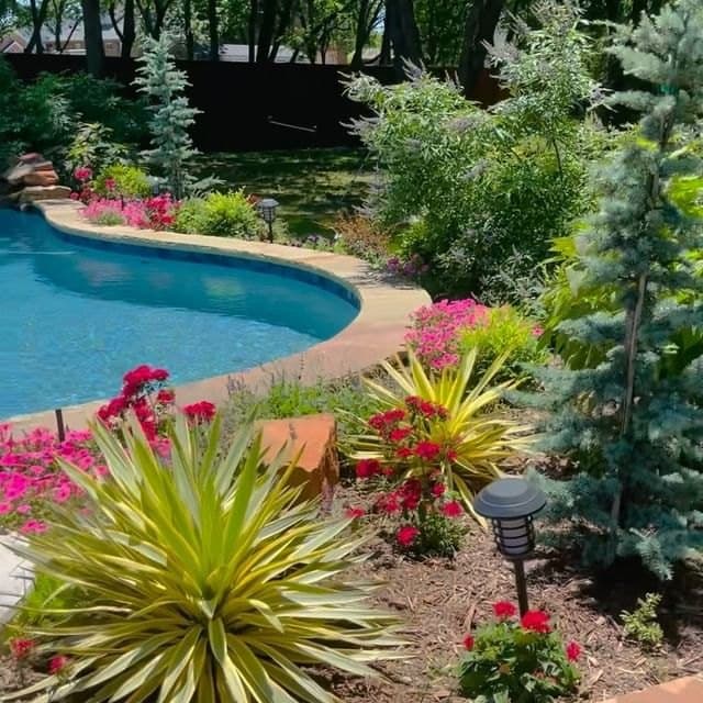 Poolside beds rebuilt with layered color and stone edging