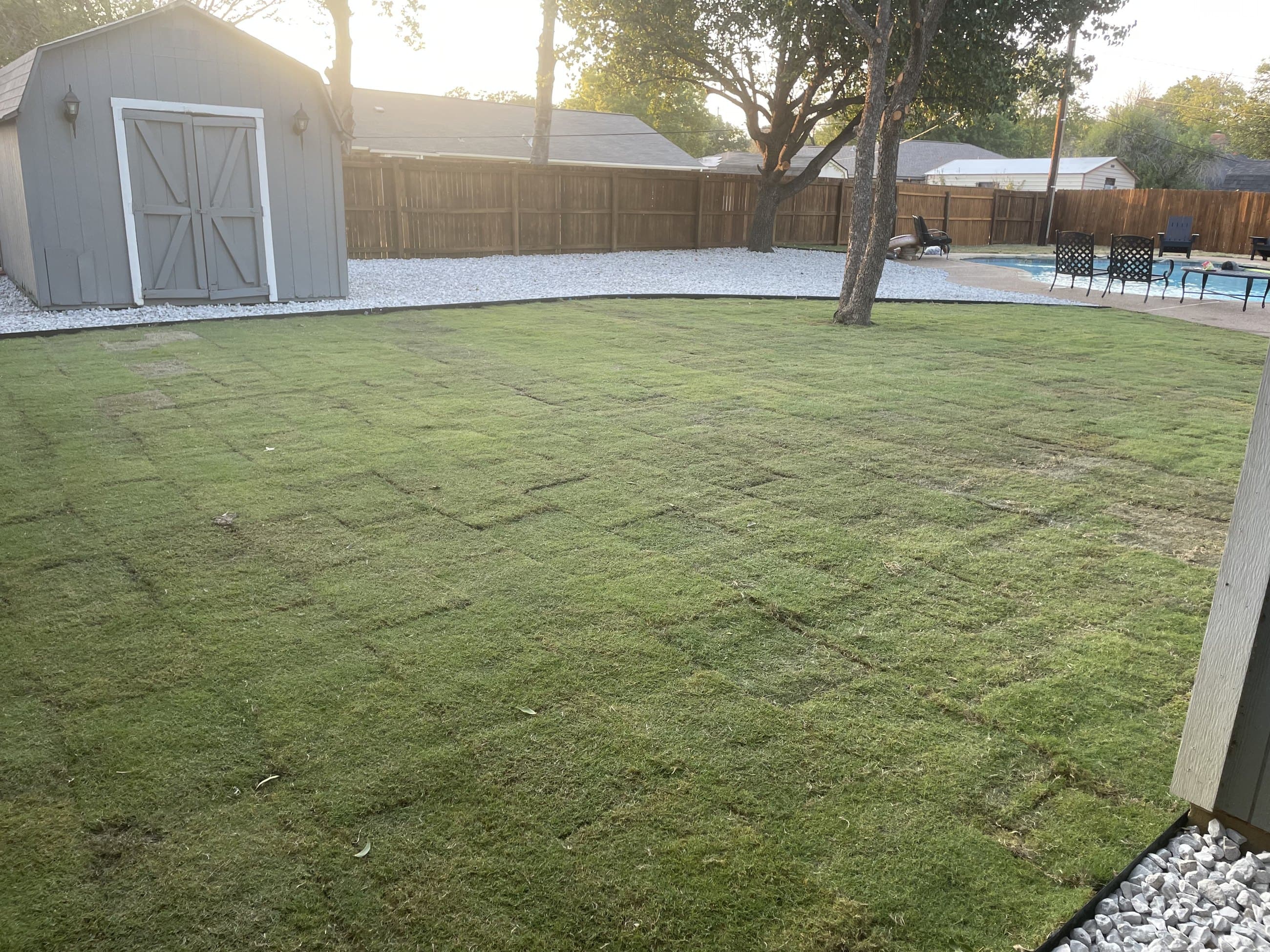 Full backyard sod installation